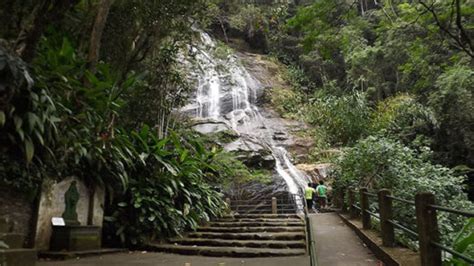 Tijuca Forest In Rio De Janeiro Best Places To See