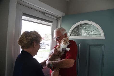 Cat Missing In Alabama Reunited With Owners In Wyoming Alabama News Us News