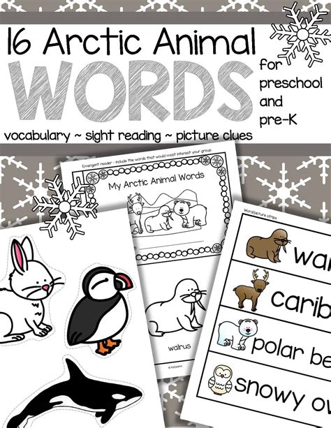 Arctic Animals Worksheet Worksheet24