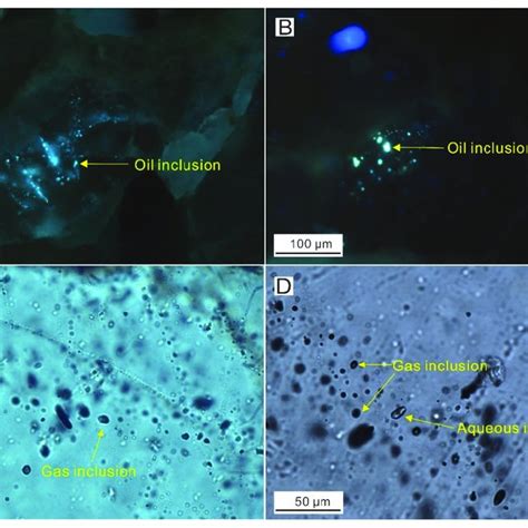 Photomicrographs Of The Hydrocarbon Inclusions From The Lower Shihezi