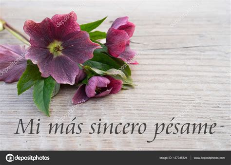 Mi más sentido pésame (fr hecha) my deepest sympathies pésame sustantivo masculino condolences (en pl): Minhas sinceras condolências — Stock Photo © coramueller ...