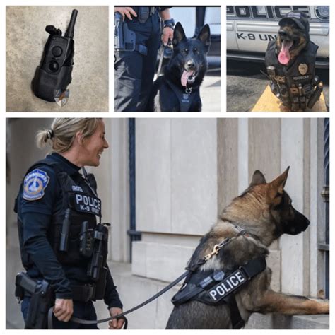 Police K9 Equipment Quality Manufacturer And Supplier Are Here