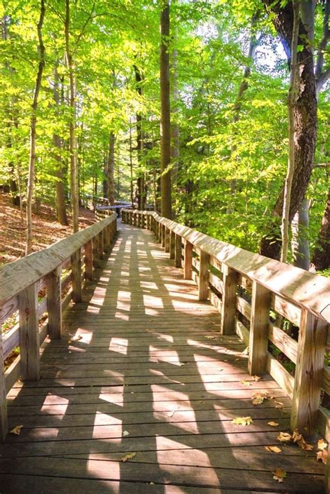 There's something for everyone in columbus, making it one of the best family vacations in ohio. 10 Best Hiking Trails Near Columbus | ItsAllBee | Solo ...
