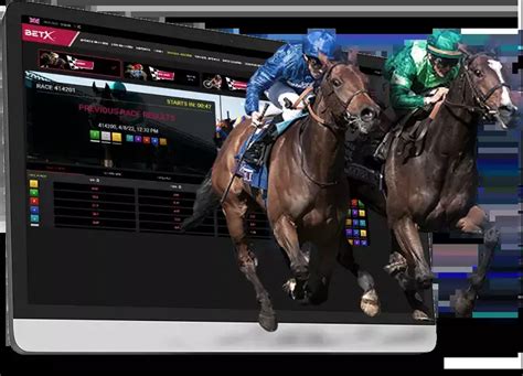 Virtual Betting Games Greyhound Xcar Xcross Horse Racing