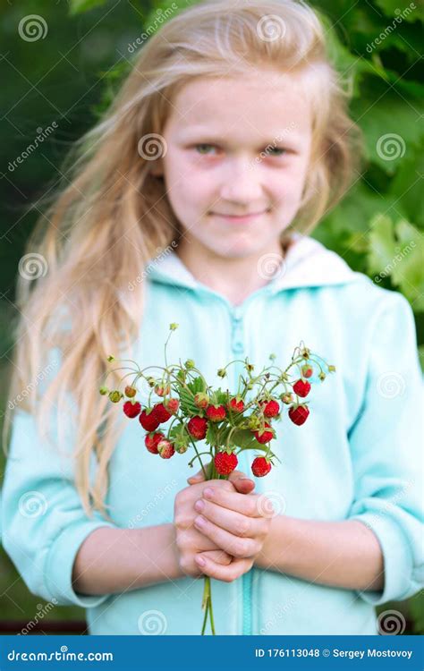 Little Girl Holding A Bush Of Wild Strawberries Stock Photo Image Of