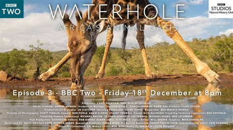 Waterhole Africas Animal Oasis