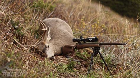 Deer Hunting 5 Useful Tips To Get Your Big Game Gunsmithing And
