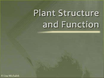 Plant Structure And Function PowerPoint Presentation Lesson Plan