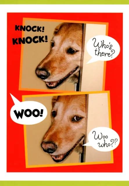 Funny Happy Birthday Woo Hoo Knock Knock Joke Dog Friend Hallmark