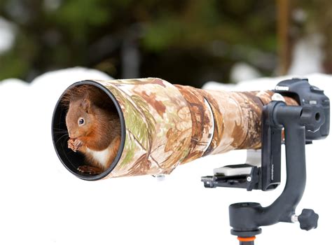 Literal Wildlife Photographers 19 Photos Of Animals Getting Cozy With
