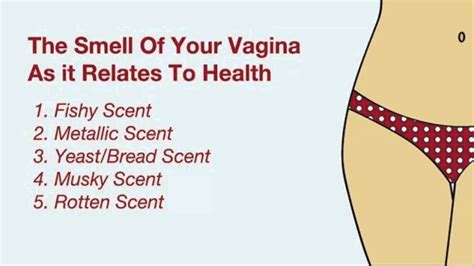 does my vagina smell healthy 5 common vaginal odors explained youtube