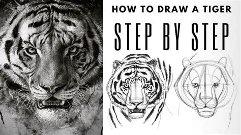Easy Step By Step Guide For Drawing A Realistic Tiger Youtube