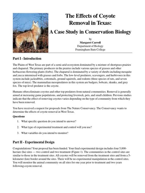Apes Coyote Case Study Reading Coyote Rodent
