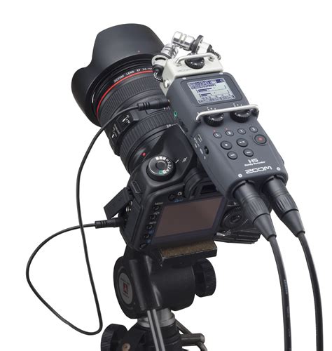 Zoom H5 Sets New Standard in Portable Recording - Cerebral-Overload