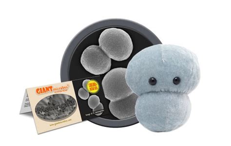 Pin On Giant Microbes And I Heart Guts