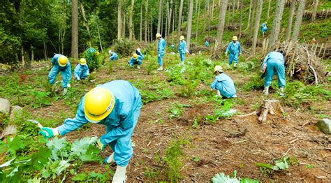 Water Resource Forest Conservation Program Kubota Forest Community