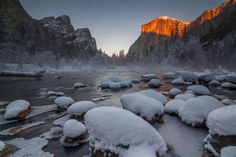 Landscape Trees Winter Yosemite National Park Snow