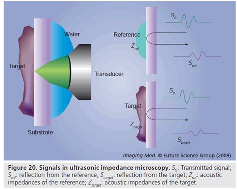 Acoustic Microscopy Latest Developments And Applications