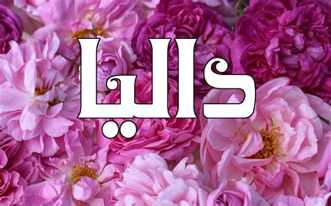 معنى اسم داليا في الإسلام