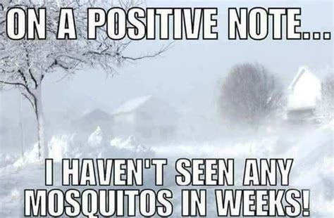 no mosquitoes in the winter cold humor snow humor winter jokes winter humor funny jokes