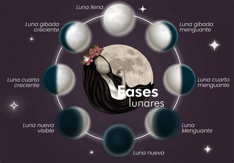 Fases Lunares Enero 2023 Fruto Salvaje Imagesee