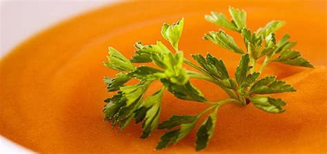 Cold Carrot Soup Continental Non Vegetarian Recipe