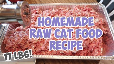 To cook fancy feast cat food, pay attention to this option with salmon and rice that takes 5 minutes of prep time and 20 minutes of cook time. Homemade Raw Cat Food Recipe - Bulk Batch - That I've Been ...