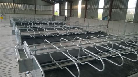 Adjustable Width Cow Cubicle Cow Cubicle Division O