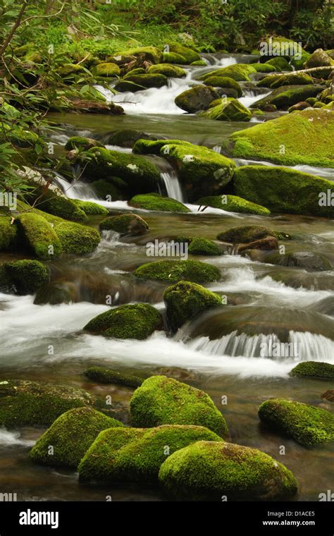 Green Moss Mountain Stream Stock Photo Alamy