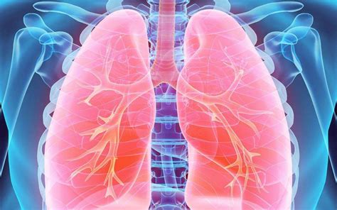 Copd Triple Therapy Treatment Fda Approved Breztri And Trelegy