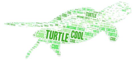 Turtle Wordart Com