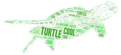 Turtle WordArt Com