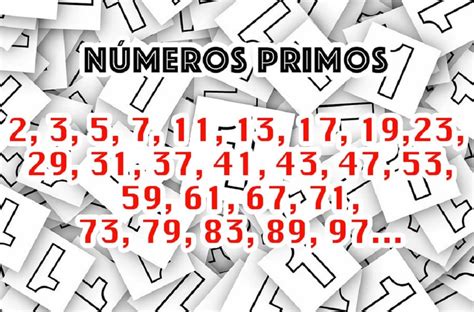 Quais São Os Números Primos Entre 40 E 50