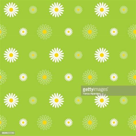 Daisy Floral Print Photos And Premium High Res Pictures Getty Images