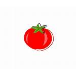 Tomato Clipart Tomatoes Clip Vector Seeds Tomate