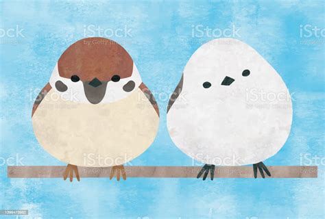 Sparrow And Cute Longtailed Tit Watercolor Stock Illustration