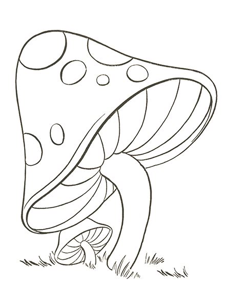 Mushroom Drawing Easy The Graphics Fairy