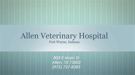 Allen Veterinary Hospital Reviews Allen Tx Review Youtube