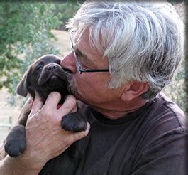 Labrador retriever puppy for sale near california, moreno valley, usa. Labradors California English Lab Puppies Breeder | Fox Red ...