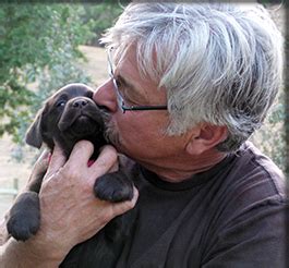 I have donated to this website for the spca, we need to do all we can for these abused and homeless animals. Labradors California English Lab Puppies Breeder | Fox Red ...
