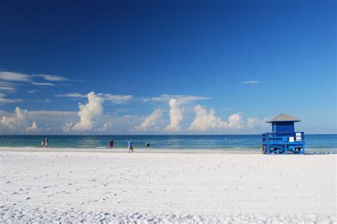 The 20 Best Things To Do In Siesta Key