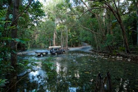 10 Interesting The Daintree Rainforest Facts My