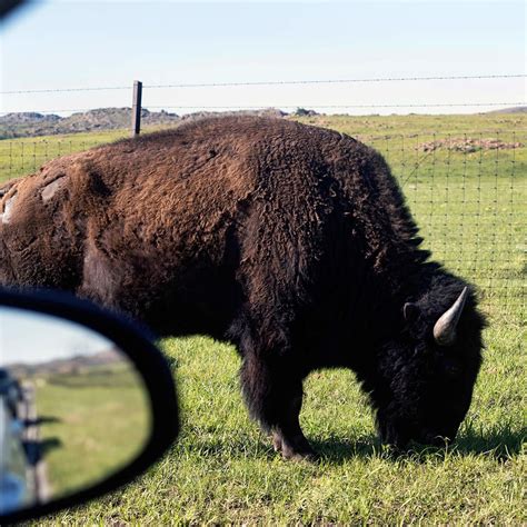 Nebraskas Wildlife Safari Park In Ashland Ne