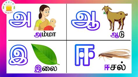 உயிர் எழுத்துக்கள் Uyir Ezhuthukal Learn Tamil Alphabets