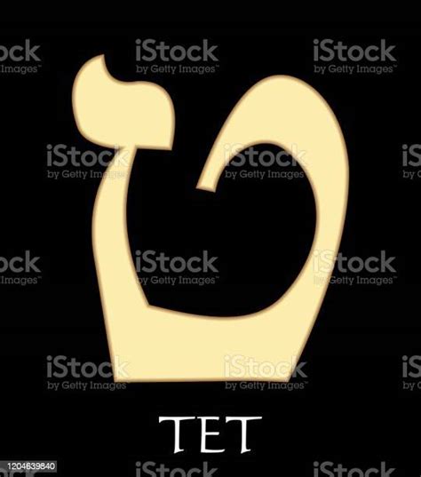 Hebrew Letter Tet Ninth Letter Of Hebrew Alphabet Meaning Is Womb Gold