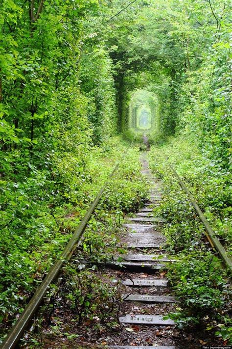22 Epic Places You Didnt Know Existed Tunnel Of Love Ukraine Tunnel