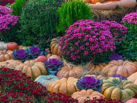 27 Spectacular Fall Gardening Ideas Garden Lovers Club