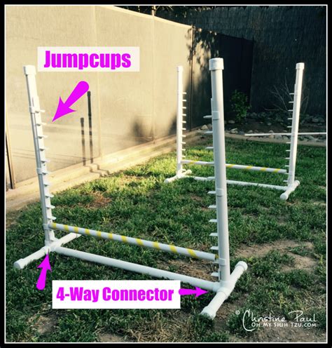 Courses are set up with trainers on site to assist your dog to learn to navigate through the activities, but courses also are popping up in backyards. Backyard Agility Equipment - Oh My Shih Tzu
