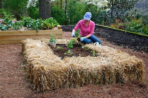 How To Make A Straw Bale Bed From Bonnie Plants Raised Garden Beds