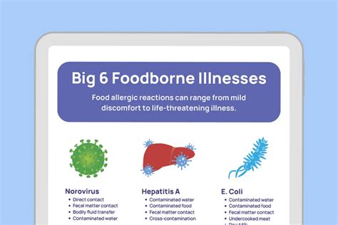 Big Foodborne Illnesses Poster Free Tools By Xenia